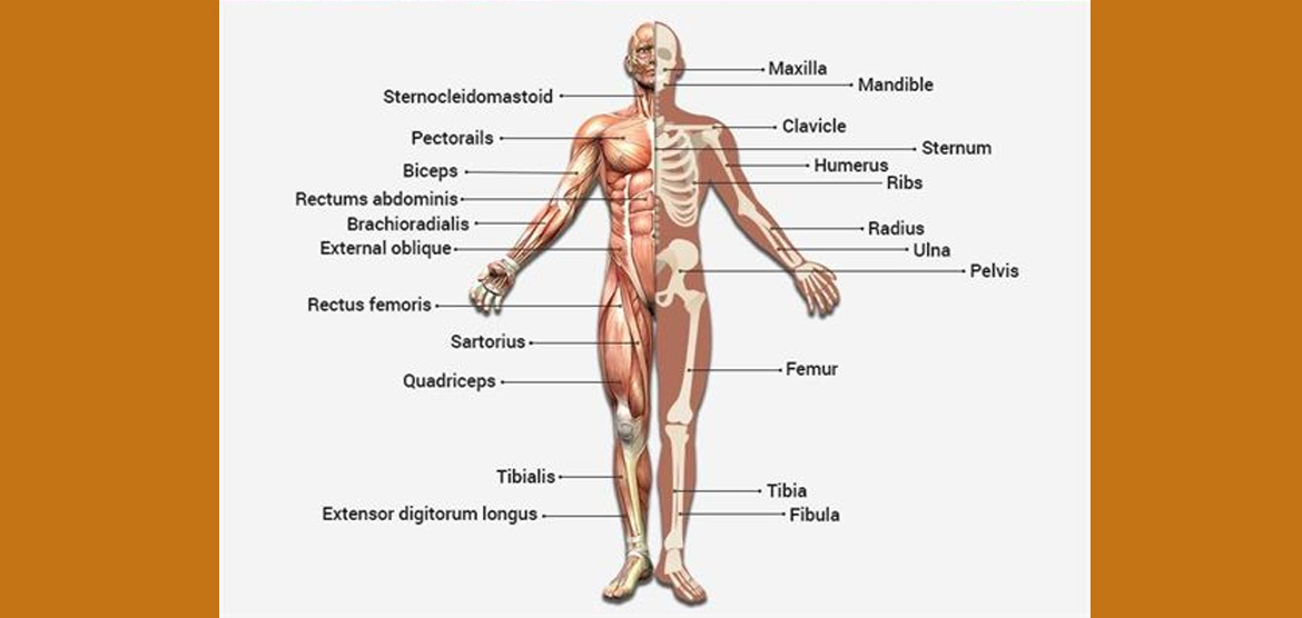 BIOLOGY SENIOR 5(FIVE)