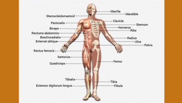 BIOLOGY SENIOR 5(FIVE)